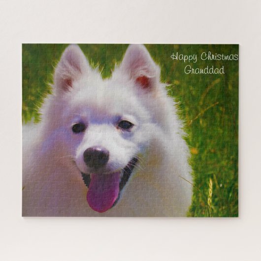Japanischer Spitz. Puzzle (Horizontal)