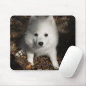 Japanischer Spitzwelpe Mousepad (Mit Mouse)
