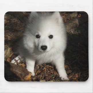 Japanischer Spitzwelpe Mousepad