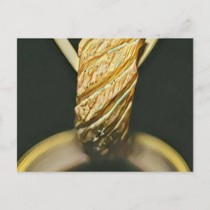 Japanischer Sushi-Liebhaber Postkarte