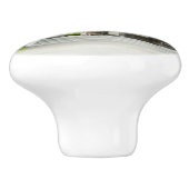 Japanischer Teegarten in San Francisco Keramikknauf (Seitenansicht)