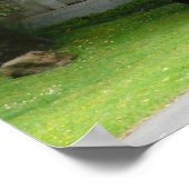 Japanischer Teegarten in San Francisco Poster (Ecke)