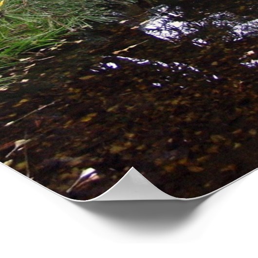 Japanischer Teegarten Print Poster (Ecke)