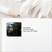 Japanischer Teegarten - San Francisco (Insitu)