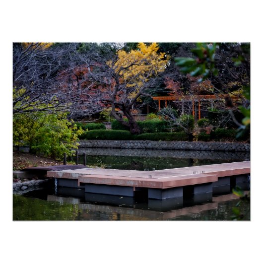 Japanischer Teich Poster (Vorderseite)