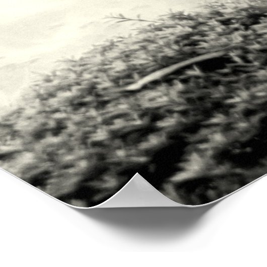 Japanischer Teiggarten Poster (Ecke)