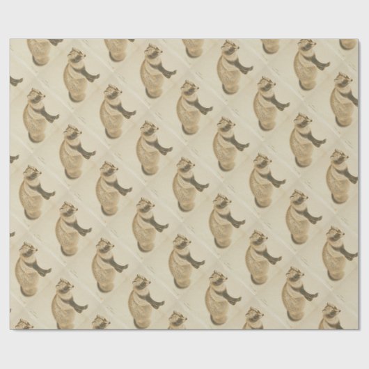 Japanischer Waschbär Geschenkpapier (Flach)