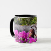 Japanischer Wasserspeier Tasse (Vorderseite Links)