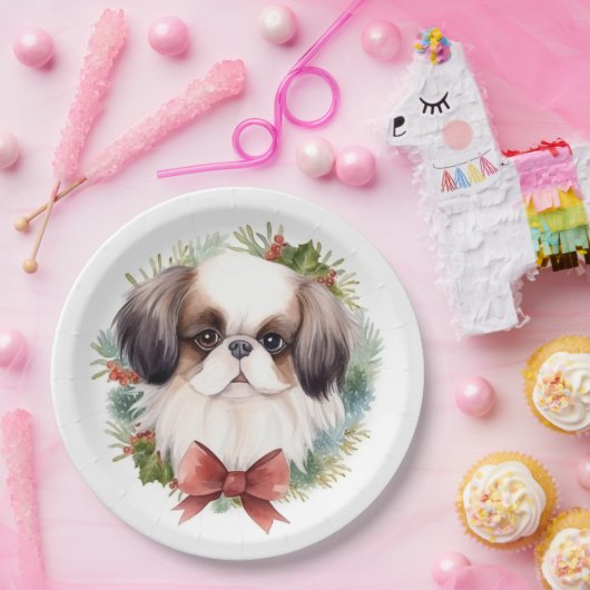 Japanischer Weihnachtsmann Weihnachtsmann Pappteller (Party)