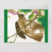 Japanischer Zeichn von Jay auf einem Weinstock Postkarte (Vorderseite)