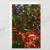 Japanisches Ahorn, Blätter für Herbst Briefpapier (Vorne/Hinten)