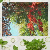 Japanisches Ahorn, Blätter für Herbst Küchentuch (Gefaltet)