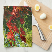 Japanisches Ahorn, Blätter für Herbst Küchentuch (Viertel Falte)