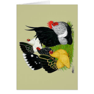 Japanisches Bantam Quartett