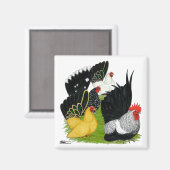 Japanisches Bantam Quartett Magnet (Vorderseite/Rückseite)