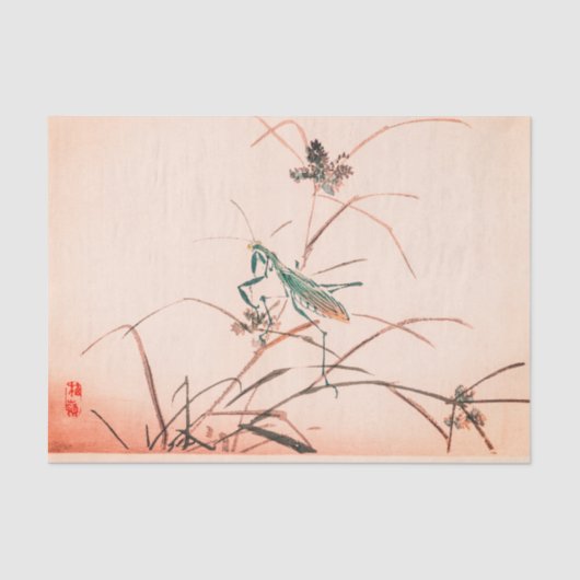 JAPANISCHES BETENDER MANTIS ROSA Seidenpapier (Vorderseite)