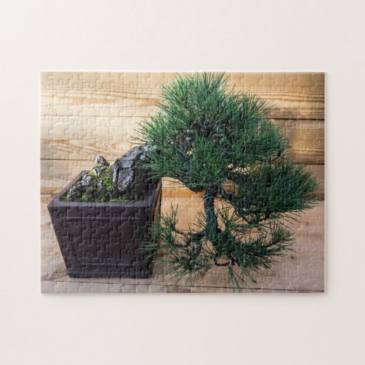 Japanisches Black Pine Bonsai Tree Foto Puzzle (Horizontal)