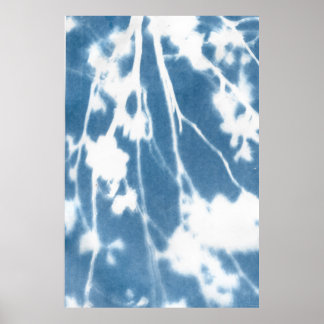 Japanisches Cherry Bloom Cyanotype Poster