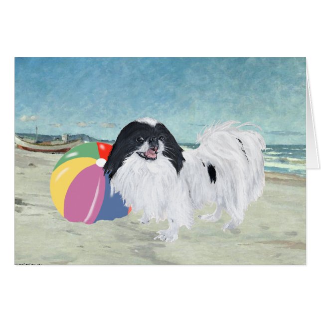 Japanisches Chin Beach Ball (Vorderseite (Horizontal))