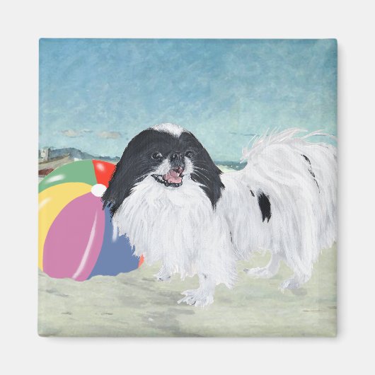 Japanisches Chin Beach Ball Magnet (Vorne)