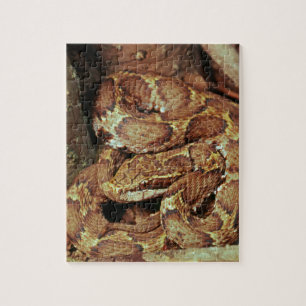 Japanisches copperhead puzzle