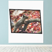 Japanisches Eichhörnchen Leinwanddruck (Insitu (Holzboden))