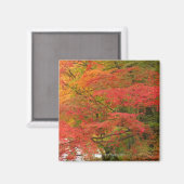 Japanisches Fall Foliage Magnet (Vorderseite/Rückseite)