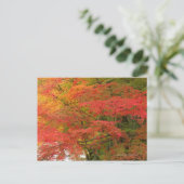 Japanisches Fall Foliage Postkarte (Stehend Vorderseite)
