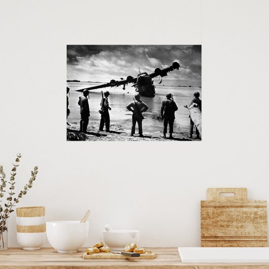 Japanisches Flugzeug Poster (Küche)