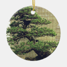Japanisches Foto White Pine Bonsai Tree