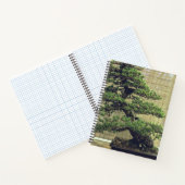 Japanisches Foto White Pine Bonsai Tree Notizblock (Innenseite)