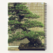 Japanisches Foto White Pine Bonsai Tree Notizblock (Rückseite)