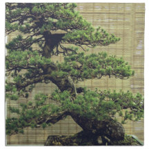 Japanisches Foto White Pine Bonsai Tree