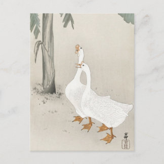 Japanisches Gemälde von Ohara Koson,Vintag小 原 古 邨  Postkarte