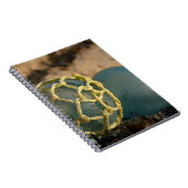 Japanisches Glasfischen Floß Notizblock (Rechte Seite)