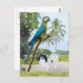 Japanisches Kino und Macaw Postkarte (Vorne/Hinten)
