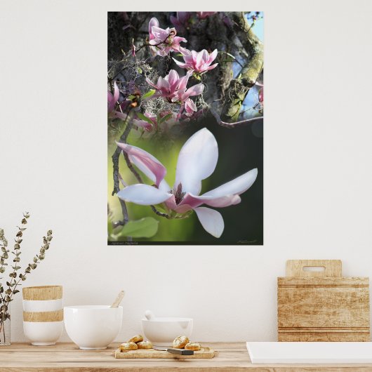 Japanisches Magnolia 2 Poster -40x60 - oder kleine (Küche)
