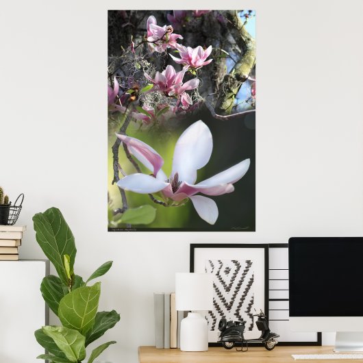 Japanisches Magnolia 2 Poster -40x60 - oder kleine (Heimbüro)