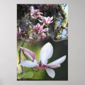 Japanisches Magnolia 2 Poster -40x60 - oder kleine (Vorne)