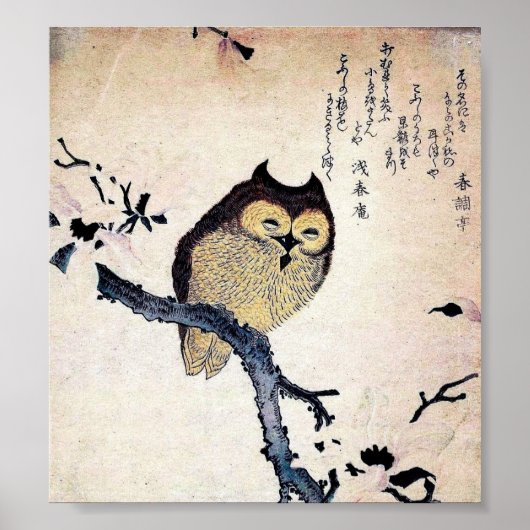 Japanisches Owl Print Poster (Vorne)