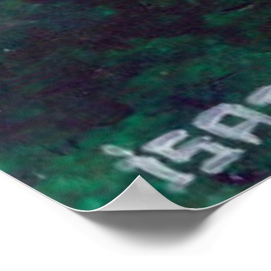 Japanisches Spitz Dog Portrait Poster (Ecke)