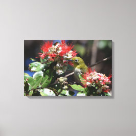 Japanisches Weißauge Leinwanddruck