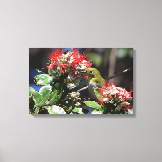 Japanisches Weißauge Leinwanddruck (Vorderseite)