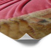 Japans Brise Poster (Ecke)