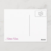 Japonaise Postkarte (Rückseite)