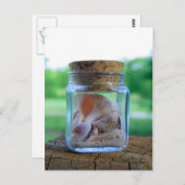 Jar der Muscheln Postkarte (Vorne/Hinten)