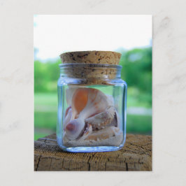 Jar der Muscheln Postkarte