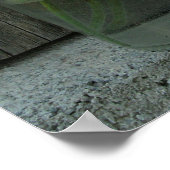 Jar of Daisies & Barn Wood Poster (Ecke)