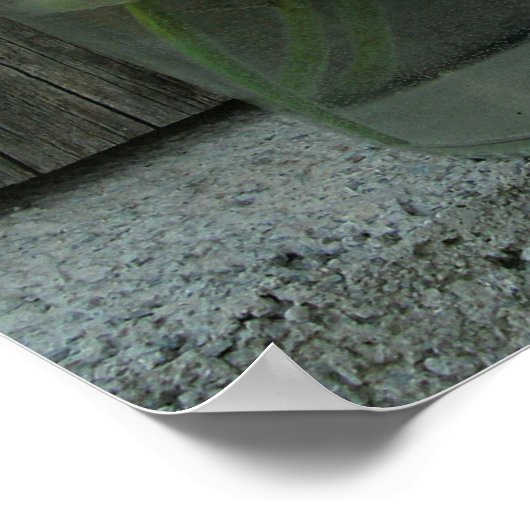 Jar of Daisies & Barn Wood Poster (Ecke)