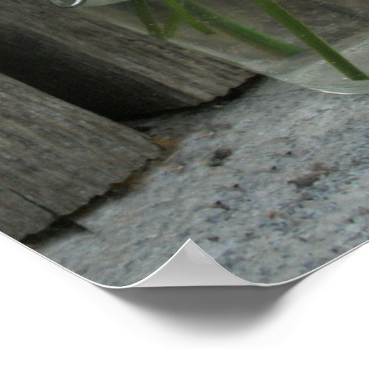 Jar of Daisies & Black Mit Augen Susans Poster (Ecke)